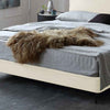 Alden Suede Fabric Modern Upholstery Headboard Bed Frame