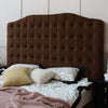 Chicory Velvet Fabric High Headboard Modern Bed Frame